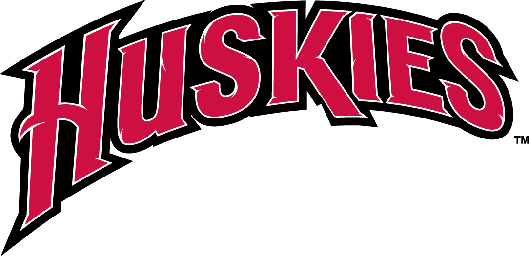 St. Cloud State Huskies 2000-2013 Wordmark Logo DIY iron on transfer (heat transfer)